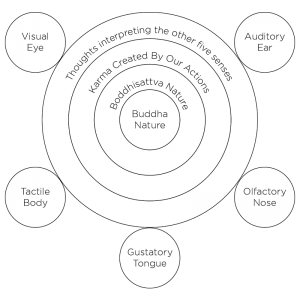 Viewed from the inside out, our inherent Buddha nature is surrounded by a Boddhisattva Nature of pure compassion. This basic goodness is hidden from us by our karma created by our actions.  Viewed from the outside in, the visual, tactile, gustatory, olfactory and auditory inputs are interpreted by our thoughts and prompt our actions.  These actions harden the shell around our basic goodness.